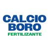 CALCIO_BORO